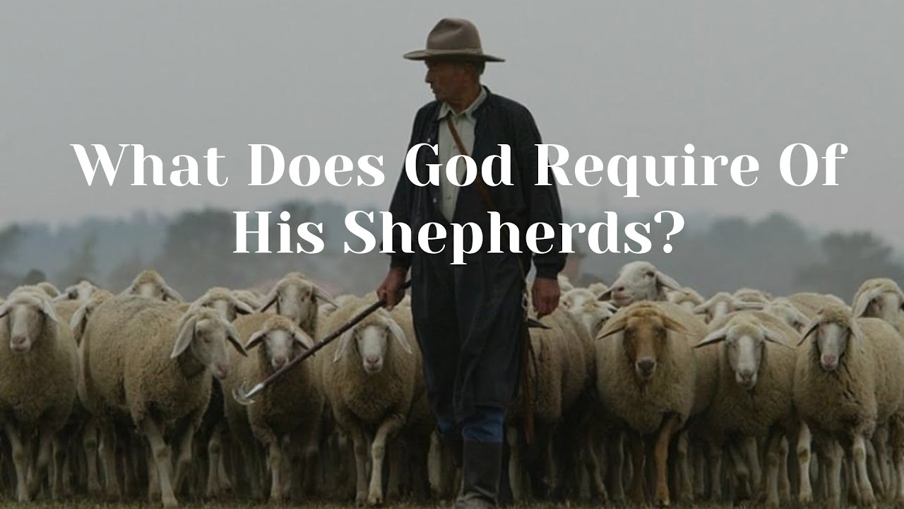 God's Shepherds