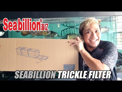 Video: Paano gumagana ang mga trickle filter?