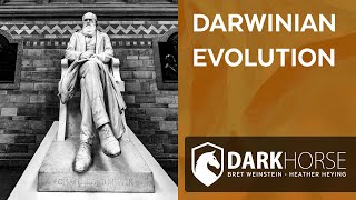 Is intelligent design a competitor to Darwinian evolution? (from Livestream #219)