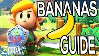 Where To Get Bananas For The Monkey In Zelda Link's Awakening screenshot 1