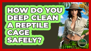 How Do You Deep Clean A Reptile Cage Safely? - Reptilian Wonders
