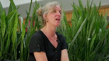 Mark werkt bij Summa