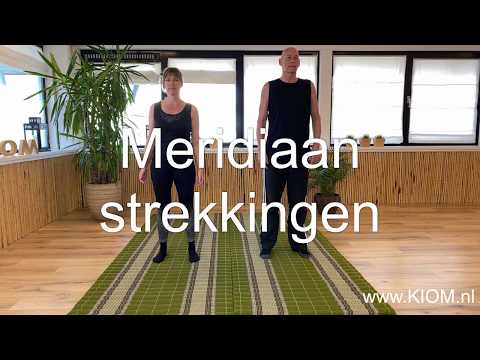 Video: Wat is echte meridiaan en magnetische meridiaan?