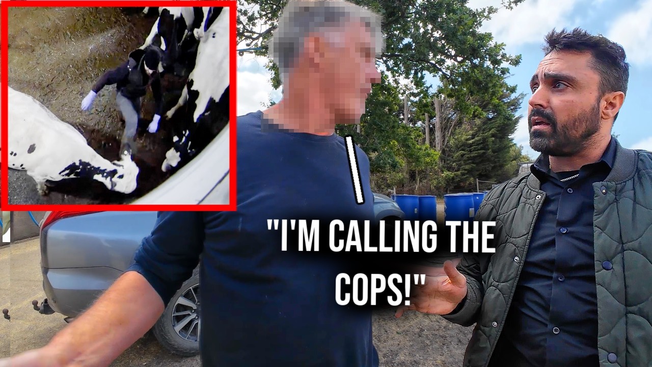 Thumbnail for We Exposed an Award Winning Dairy Boss for Disgusting Cruelty (non-graphic)