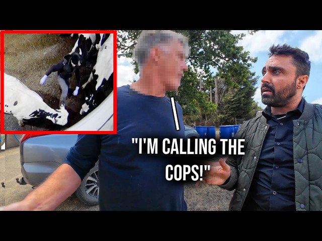 Thumbnail for We Exposed an Award Winning Dairy Boss for Disgusting Cruelty (non-graphic)