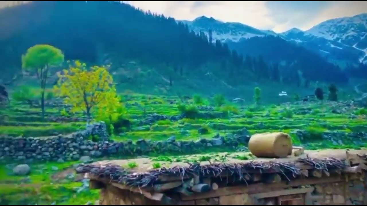 Sedgai Swat
