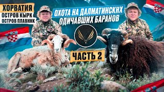 ГОРНАЯ ОХОТА В ХОРВАТИИ | ЧАСТЬ 2 | ОХОТА НА МУФЛОНА И ДАЛМАТИНСКОГО БАРАНА
