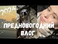 Предновогодняя суета/Продолжаем болеть/ Дети остались без подарков