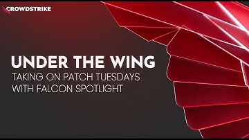 Under the Wing: Taking on Patch Tuesdays with Falcon Spotlight