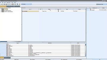 12 Create New Library Add terms to a Library in IBM SPSS Modeler
