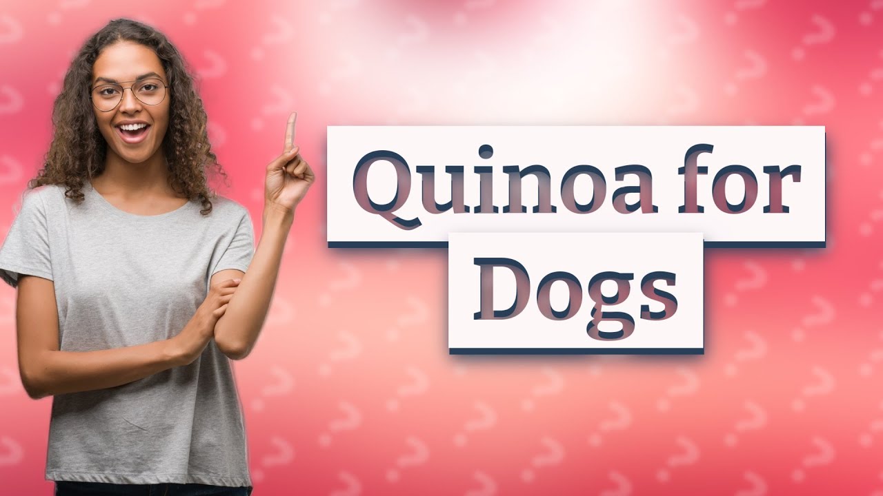 Is quinoa good for my dog? YouTube