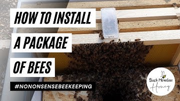 How to Install a Package of Bees