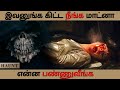 அவ நண்பர்களை கொன்னவங்கள வேட்டையாடும் பொண்ணு - Haunt Movie explanation in Tamil