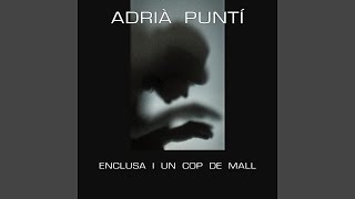 Video thumbnail of "Adrià Puntí - Amb El Lliri A La Mà"