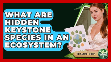 What Are Hidden Keystone Species In An Ecosystem? - Explaining Ecology