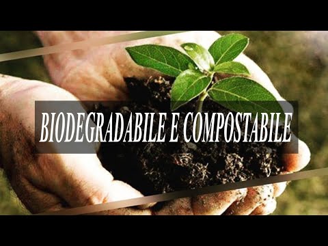 Video: Differenza Tra Biodegradabile E Compostabile