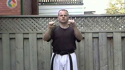 Taekwondo: Hapkido: Foundations: twin forearm wedging block - front view