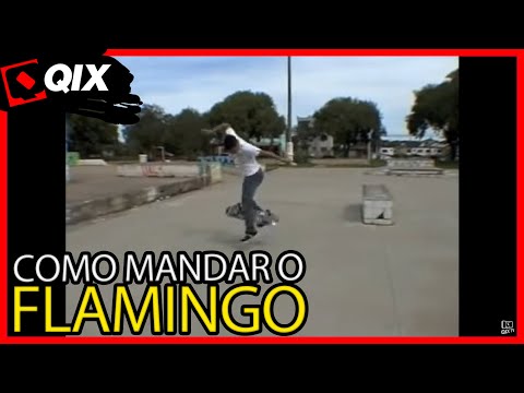 Qix Start - Flamingo