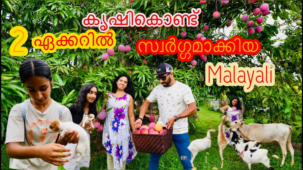 കൃഷി ചെയ്ത് 2 ഏക്കർ ഭൂമി സ്വർഗ്ഗമാക്കിയ അമേരിക്കൻ മലയാളി|2 acres of organic farm house in America