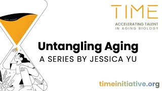 Untangling Aging - A Leading Hope in Healthy Longevity Medicine with Andrea Maier