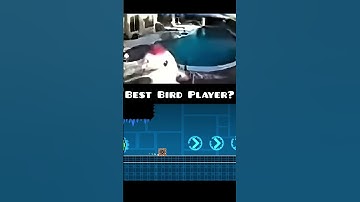 Is This the BEST Bird PLAYER in Geometry Dash? #sehar
