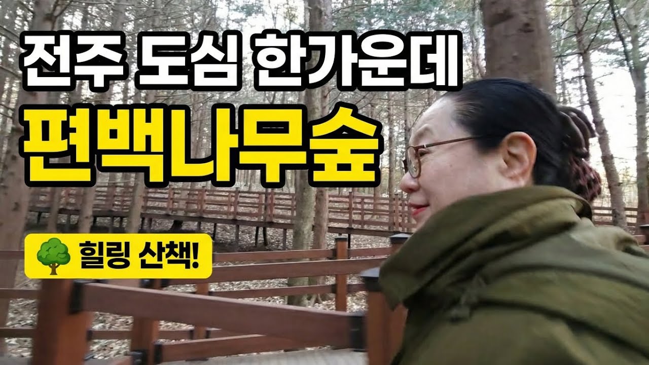 전주 도심 한복판에 있는 편백나무숲