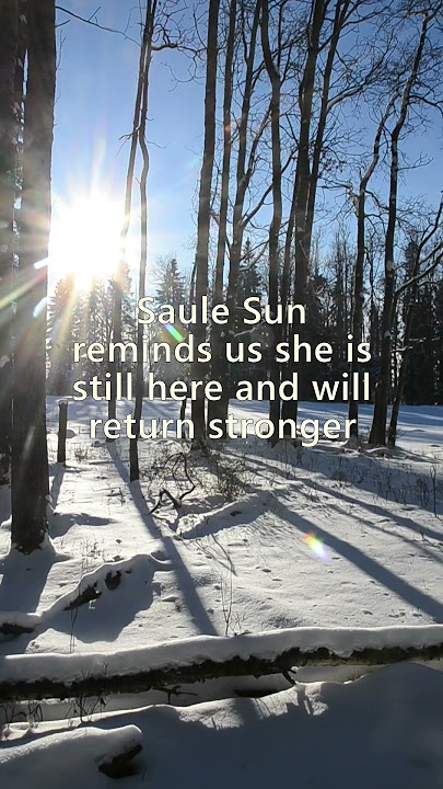 Sun   Snowy Woods Winter Solstice: Darkness to Balance Light #animist #Ragana #Saule  #Alberta