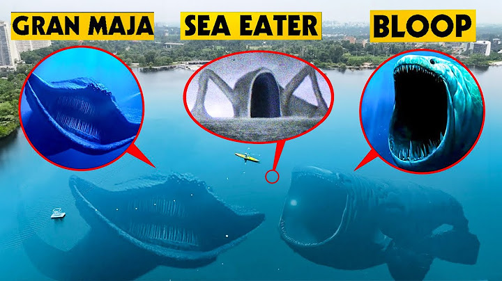 ДРОН ЗАСНЯЛ СРАЖЕНИЕ SEA EATER VS BLOOP VS EL GRAN MAJA В РЕАЛЬНОЙ ЖИЗНИ!! (БИТВА КОЛОССОВ)