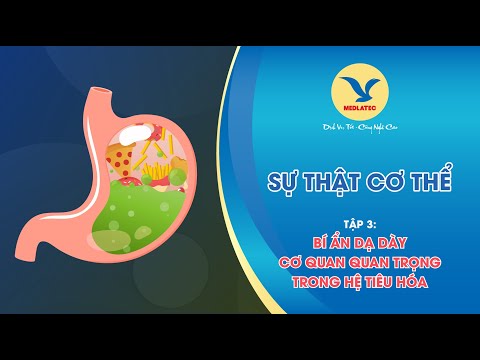 Video Bí Ẩn Dạ Dày | SỰ THẬT CƠ THỂ | MEDLATEC - youtube