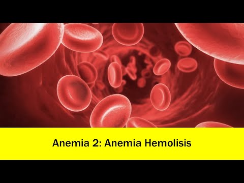 Video: Di mana hemolisis terjadi?