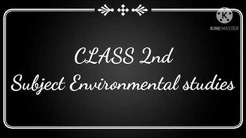 CLASS 2 EVS Chapter 19 Means of Transport