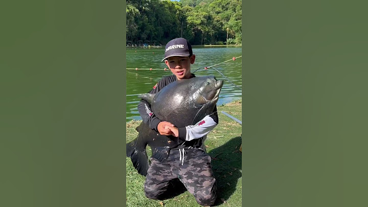 Peixe forte temos ! #brutos #peixebruto #bigfish #bigfishvideo #funnyvideo