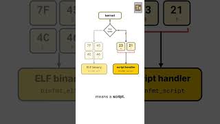 Full How the Shebang Line Works: The Kernel Reads Your Script's First Two Bytes Update