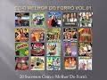 20 Sucessos Com o Melhor Do Forró