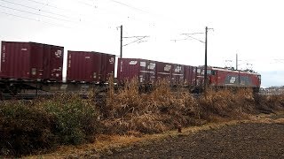 2020/01/08 JR貨物 4088レ EH500-52 白河 | JR Freight: Cargo Train in Shirakawa