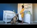 Time Lapse: Pregnant to Baby in 90 seconds. Photo a day. (Part 1 of 2)