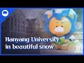 캠퍼스에 눈이 내린다면｜Hanyang University in beautiful snow