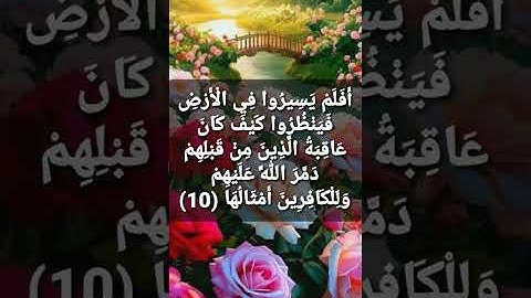 سورة محمد الآية 10