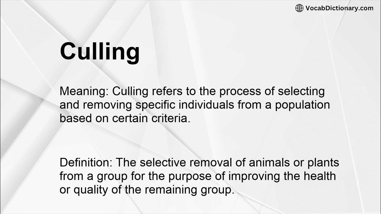 Culling meaning youtube