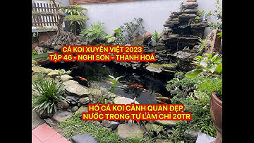 TẬP 46 - CÁ KOI XUYÊN VIỆT 2023 - HỒ CÁ KOI CẢNH QUAN ĐẸP NƯỚC TRONG TỰ LÀM CHỈ 20TR - THANH HOÁ