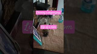 Minivlog Cleaning &Organising