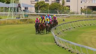 Vidéo de la course PMU PRIX WORLD SPORTS BETTING CAPE FILLIES GUINEAS