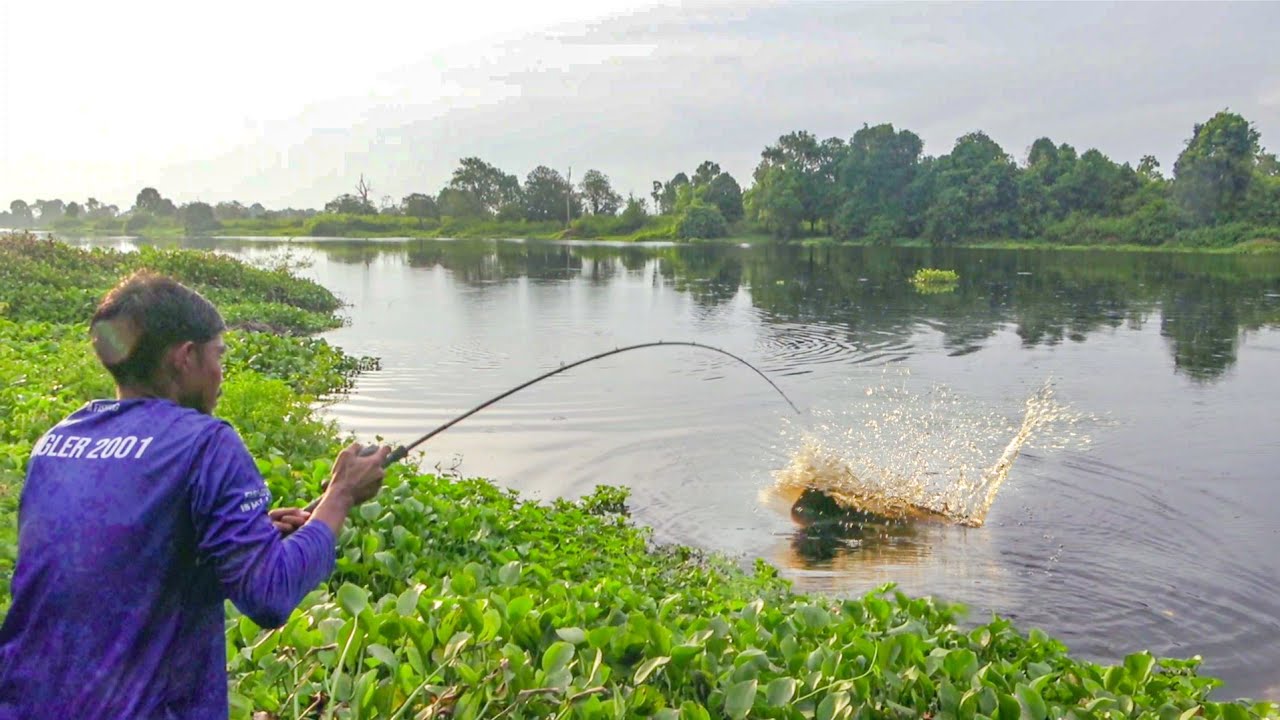 Inilah Tempat Mancing Yang Di Incar2 Oleh Banyak Caster Snakehead !!!