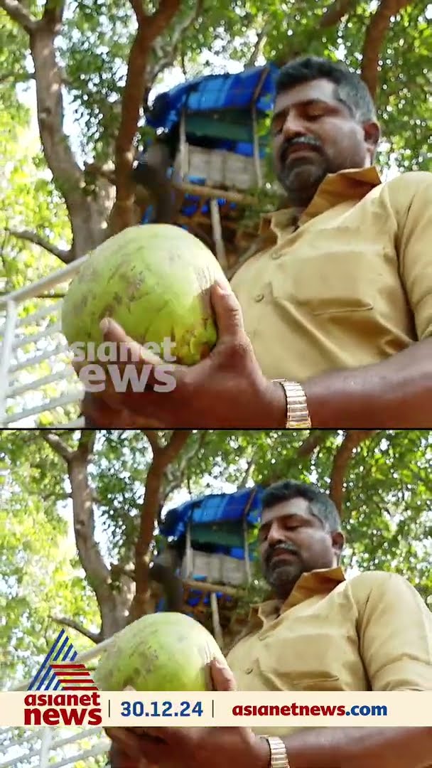പാതയോരത്ത് കരിക്ക് വെട്ടിയതിന് വനംവകുപ്പ് ജയിലില്‍ ആക്കി