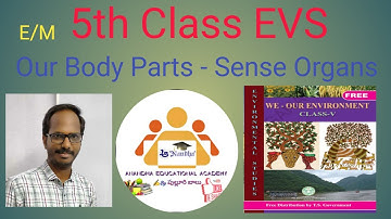 5th Class EVS || Our Body Parts Sense Organs ||EM || @AnandhaEducationalAcademy
