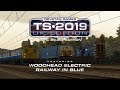TS2019 UK Edition - OUT NOW