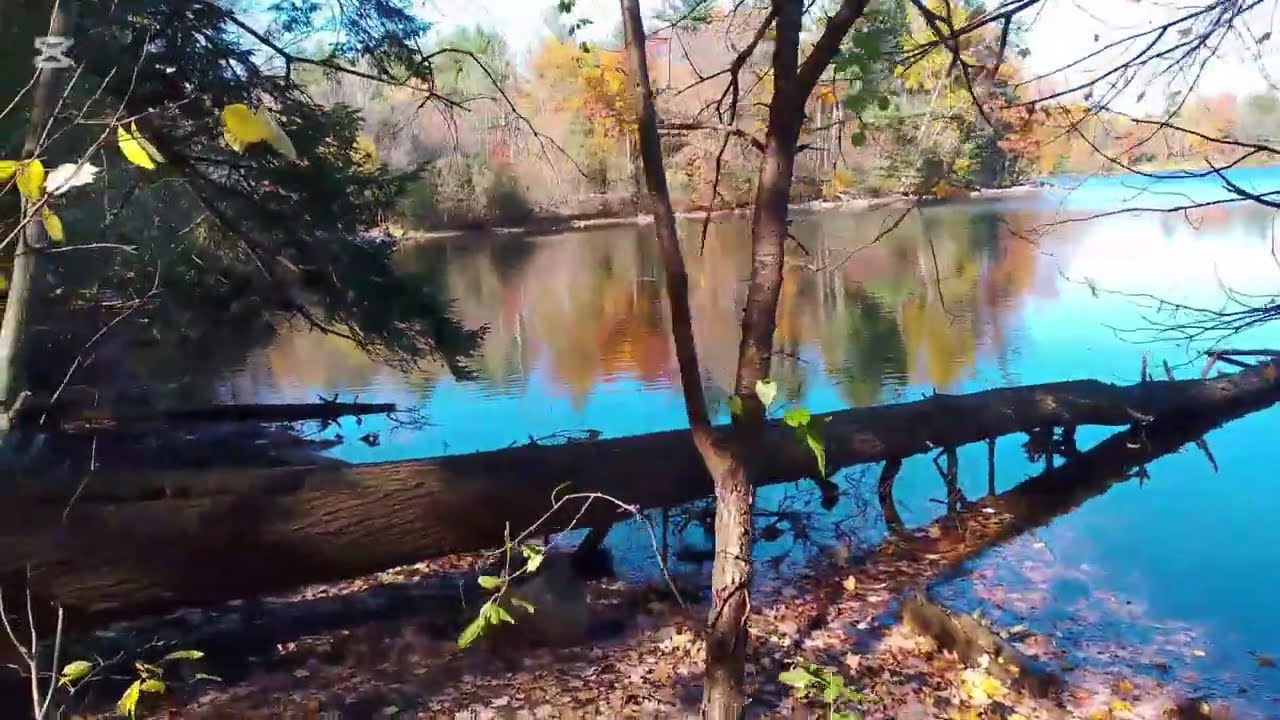 Hiking at the Oak Ridges Corridor to Bond Lake