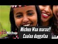 Caalaa Daggafaa 2019 Michuu Waa Maraa New Music 