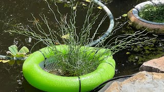 DIY Floating pond planter