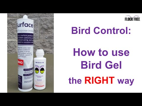 How to use Bird Gel the right way in Bird Control